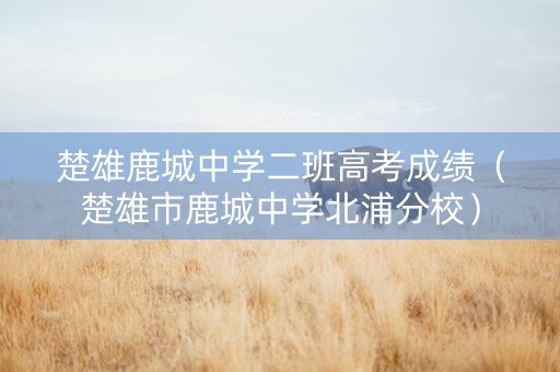 楚雄鹿城中学二班高考成绩（楚雄市鹿城中学北浦分校）