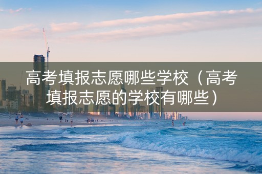 高考填报志愿哪些学校（高考填报志愿的学校有哪些）
