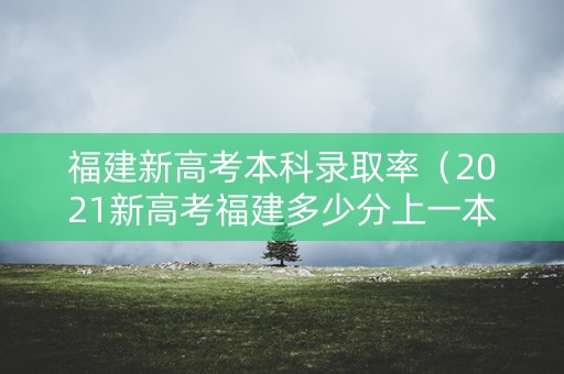 福建新高考本科录取率（2021新高考福建多少分上一本）