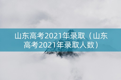 山东高考2021年录取（山东高考2021年录取人数）