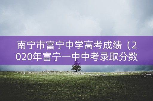 南宁市富宁中学高考成绩（2020年富宁一中中考录取分数线）