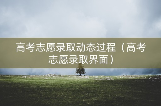 高考志愿录取动态过程（高考志愿录取界面）