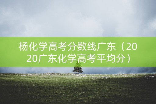 杨化学高考分数线广东（2020广东化学高考平均分）