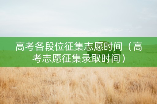 高考各段位征集志愿时间（高考志愿征集录取时间）