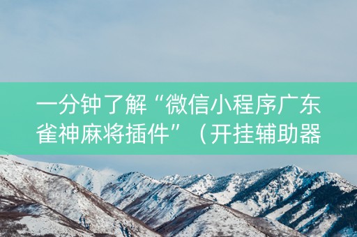 一分钟了解“微信小程序广东雀神麻将插件”（开挂辅助器插件)