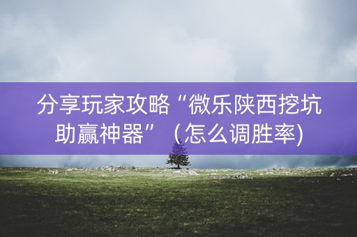 分享玩家攻略“微乐陕西挖坑助赢神器”（怎么调胜率)