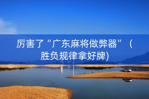 厉害了“广东麻将做弊器”（胜负规律拿好牌)
