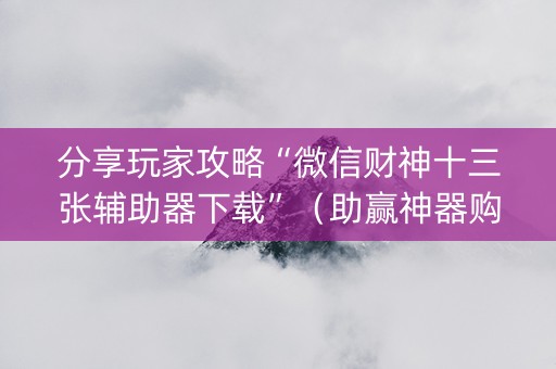 分享玩家攻略“微信财神十三张辅助器下载”（助赢神器购买)