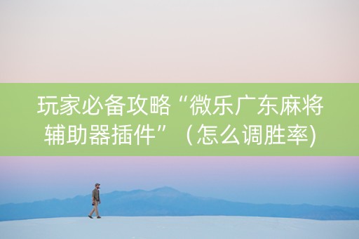 玩家必备攻略“微乐广东麻将辅助器插件”（怎么调胜率)