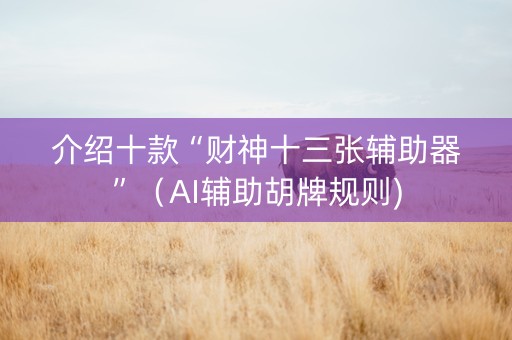 介绍十款“财神十三张辅助器”（AI辅助胡牌规则)