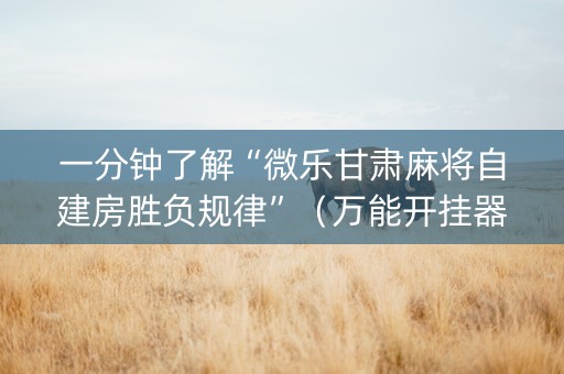 一分钟了解“微乐甘肃麻将自建房胜负规律”（万能开挂器)