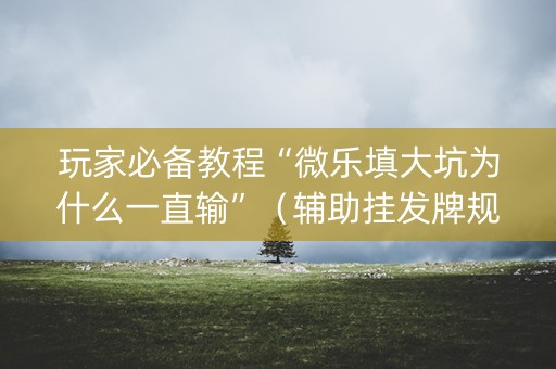 玩家必备教程“微乐填大坑为什么一直输”（辅助挂发牌规律)