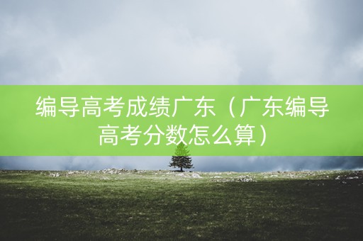 编导高考成绩广东（广东编导高考分数怎么算）