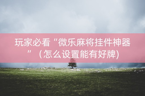 玩家必看“微乐麻将挂件神器”（怎么设置能有好牌)