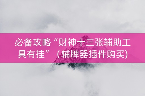 必备攻略“财神十三张辅助工具有挂”（辅牌器插件购买)