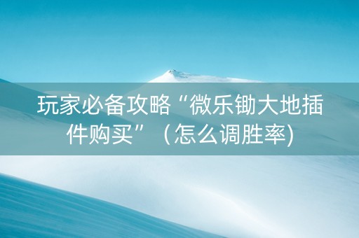 玩家必备攻略“微乐锄大地插件购买”（怎么调胜率)