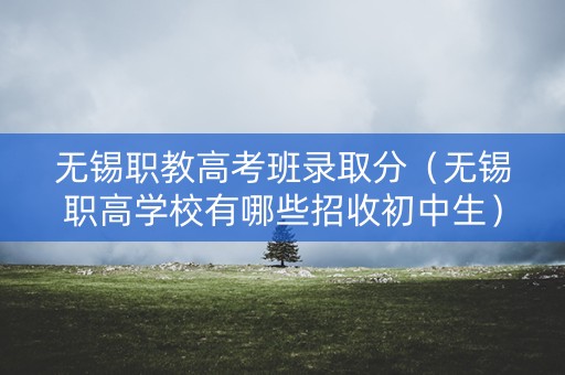 无锡职教高考班录取分（无锡职高学校有哪些招收初中生）