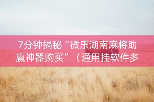 7分钟揭秘“微乐湖南麻将助赢神器购买”（通用挂软件多少钱)