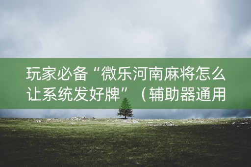 玩家必备“微乐河南麻将怎么让系统发好牌”（辅助器通用版)
