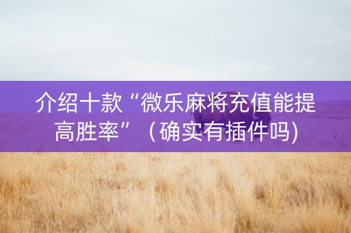 介绍十款“微乐麻将充值能提高胜率”（确实有插件吗)
