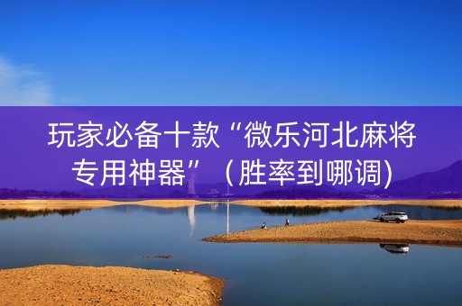 玩家必备十款“微乐河北麻将专用神器”（胜率到哪调)