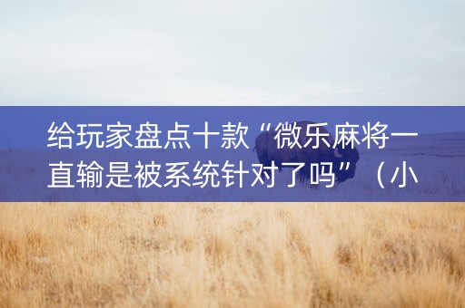 给玩家盘点十款“微乐麻将一直输是被系统针对了吗”（小程序必赢神器)