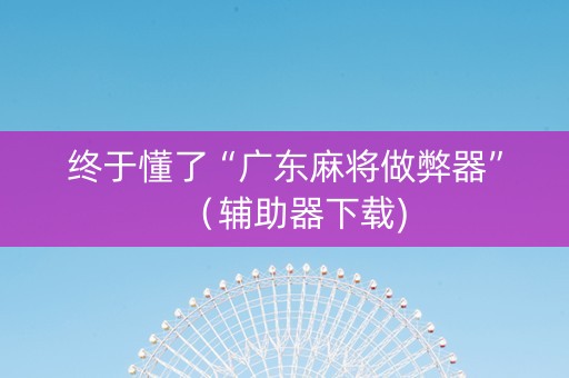 终于懂了“广东麻将做弊器”（辅助器下载)