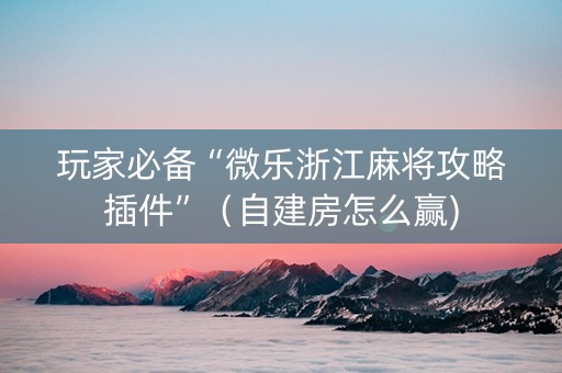 玩家必备“微乐浙江麻将攻略插件”（自建房怎么赢)