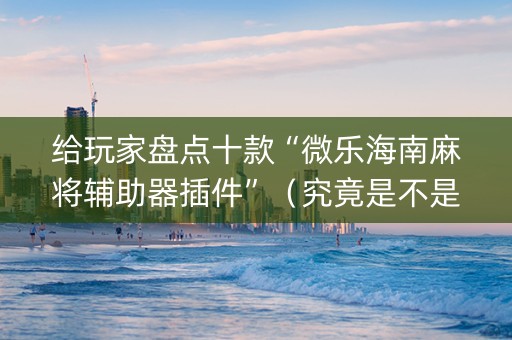 给玩家盘点十款“微乐海南麻将辅助器插件”（究竟是不是有挂)