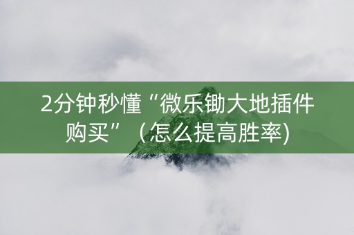 2分钟秒懂“微乐锄大地插件购买”（怎么提高胜率)