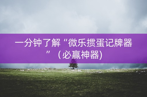 一分钟了解“微乐掼蛋记牌器”（必赢神器)