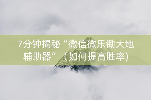 7分钟揭秘“微信微乐锄大地辅助器”（如何提高胜率)