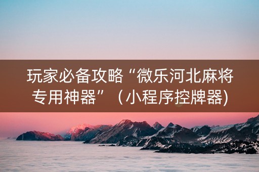 玩家必备攻略“微乐河北麻将专用神器”（小程序控牌器)