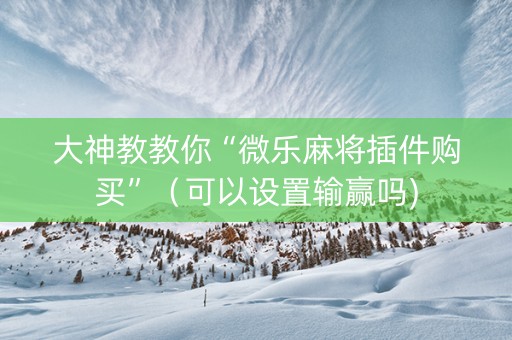 大神教教你“微乐麻将插件购买”（可以设置输赢吗)