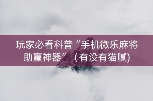玩家必看科普“手机微乐麻将助赢神器”（有没有猫腻)