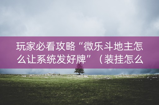 玩家必看攻略“微乐斗地主怎么让系统发好牌”（装挂怎么安装)