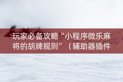 玩家必备攻略“小程序微乐麻将的胡牌规则”（辅助器插件)