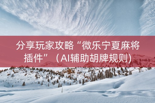 分享玩家攻略“微乐宁夏麻将插件”（AI辅助胡牌规则)