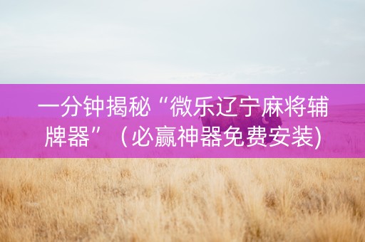 一分钟揭秘“微乐辽宁麻将辅牌器”（必赢神器免费安装)