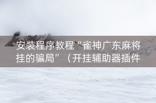 安装程序教程“雀神广东麻将挂的骗局”（开挂辅助器插件)