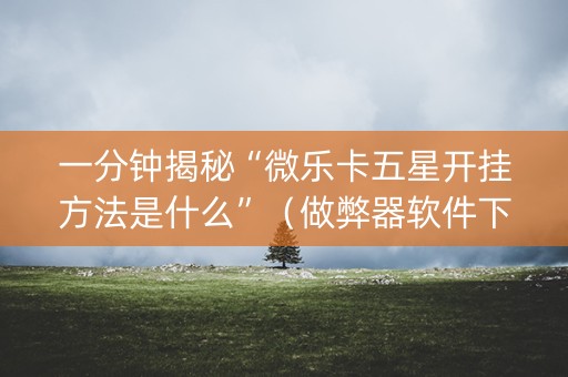 一分钟揭秘“微乐卡五星开挂方法是什么”（做弊器软件下载)