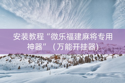 安装教程“微乐福建麻将专用神器”（万能开挂器)