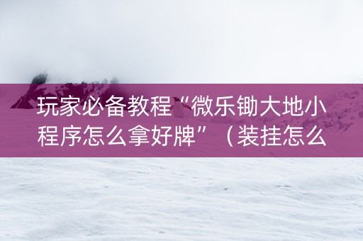 玩家必备教程“微乐锄大地小程序怎么拿好牌”（装挂怎么安装)