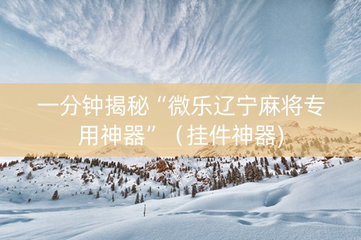 一分钟揭秘“微乐辽宁麻将专用神器”（挂件神器)