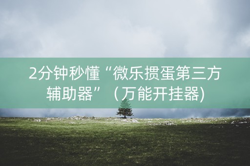 2分钟秒懂“微乐掼蛋第三方辅助器”（万能开挂器)
