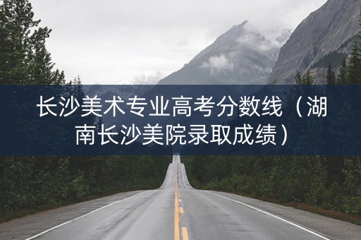 长沙美术专业高考分数线（湖南长沙美院录取成绩）