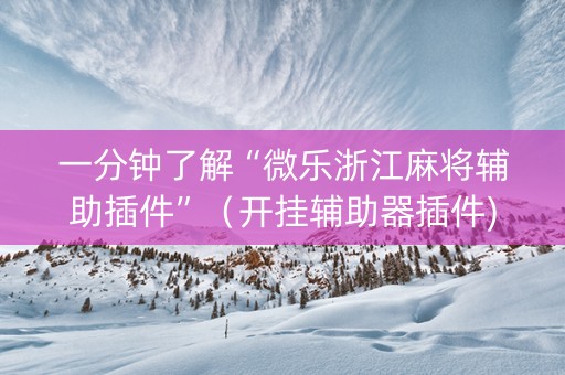 一分钟了解“微乐浙江麻将辅助插件”（开挂辅助器插件)
