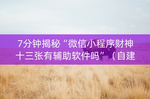 7分钟揭秘“微信小程序财神十三张有辅助软件吗”（自建房胜负规律)