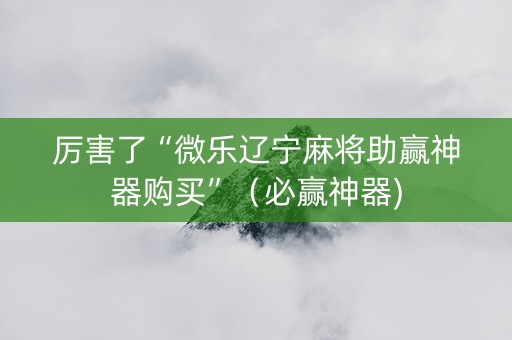 厉害了“微乐辽宁麻将助赢神器购买”（必赢神器)