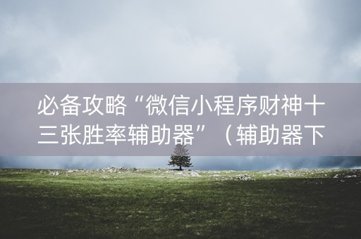 必备攻略“微信小程序财神十三张胜率辅助器”（辅助器下载)
